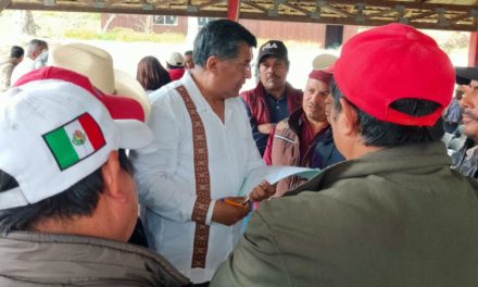 Veracruz se suma al llamado de unidad para reorganizar Morena