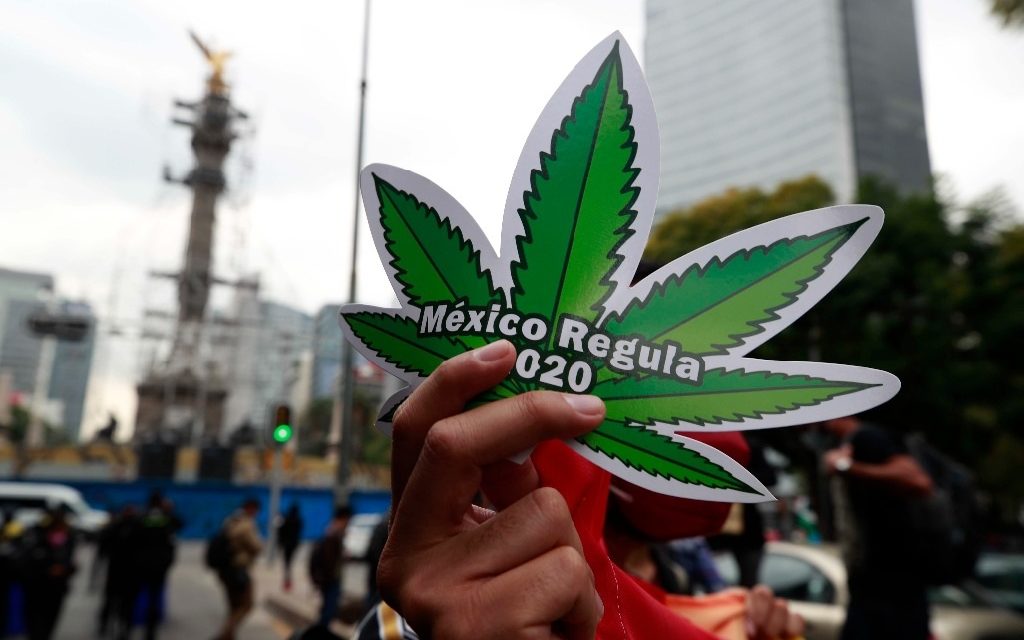 Despenalización de la mariguana, ¿Estamos a tiempo?