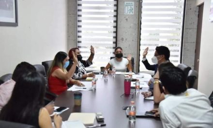 Prepara Comité Organizador el Parlamento de la Juventud Veracruzana 2021