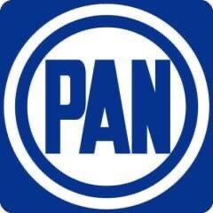 Purga y renovación en el PAN Veracruz