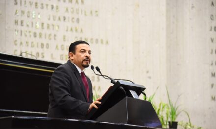 Guardia Nacional, clave para la recuperación de la paz en Veracruz: Gómez Cazarín