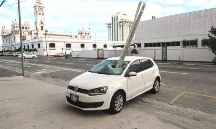 Torre Centro, fruto de la corrupción, pone en riesgo a ciudadanos: Gómez Cazarín