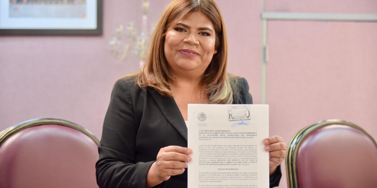 Propone Diputada nueva Ley para la Protección del Maíz Criollo