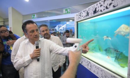 31 años del acuario de Veracruz