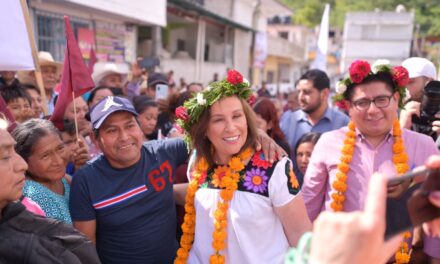 CADA DÍA SOMOS MÁS EN LOS COMITÉS DE MORENA: ROCIO NAHLE