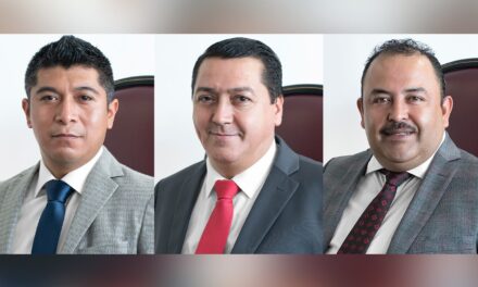 Crean diputados el grupo legislativo mixto Trabajo y Fuerza