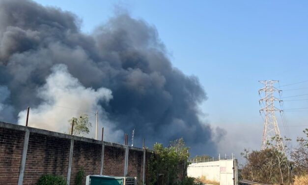 Fuerzas de tarea atienden incendio de pantano en las afueras de refinería Minatitlán