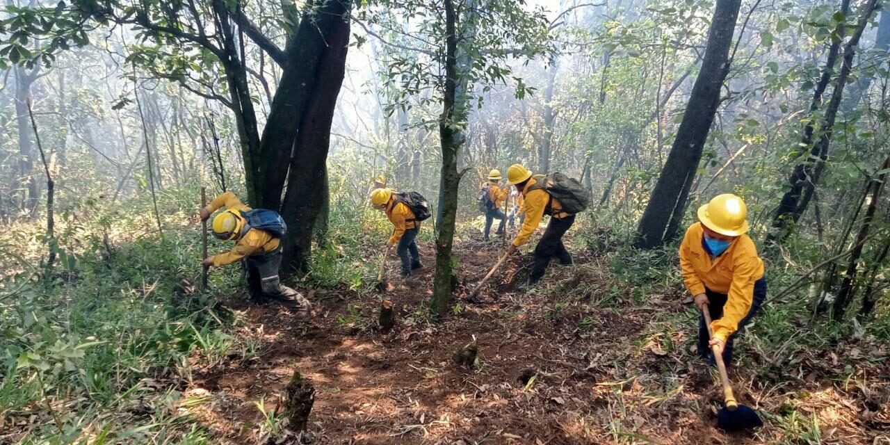 Mantienen las fuerzas de tarea 70% de control en incendio de Río Blanco