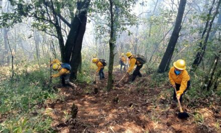 Mantienen las fuerzas de tarea 70% de control en incendio de Río Blanco