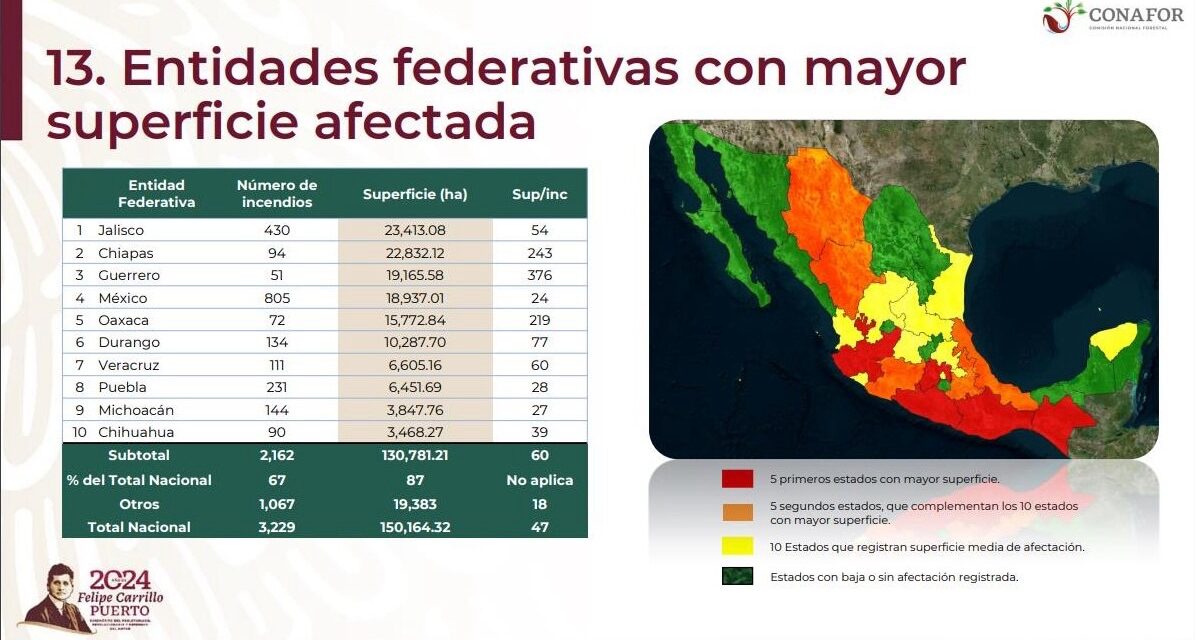 Registra Veracruz más de 6 mil hectáreas afectadas por incendios forestales