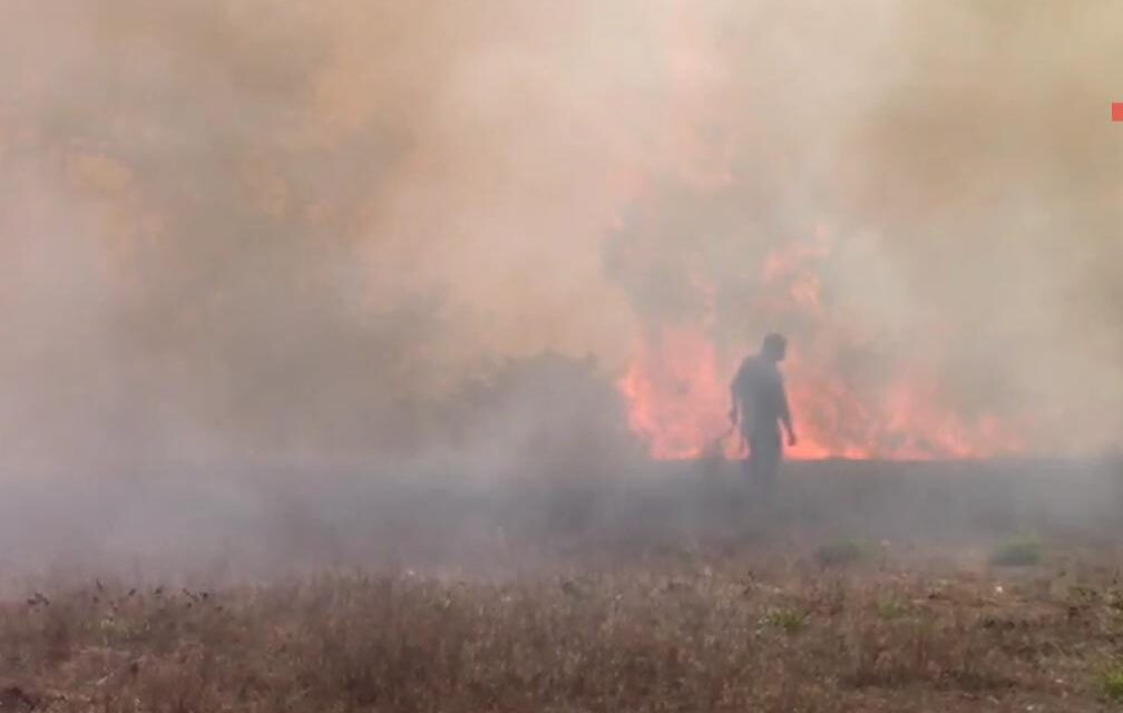 Registra Veracruz un incendio forestal activo en la región de Zacualpan