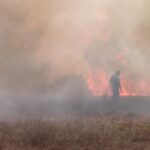 Registra Veracruz un incendio forestal activo en la región de Zacualpan