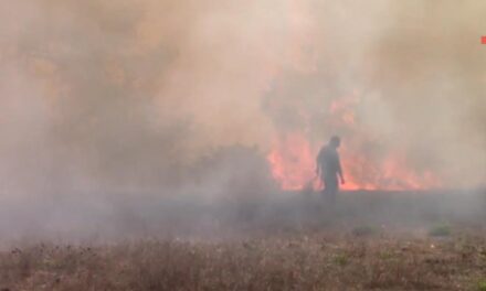 Registra Veracruz un incendio forestal activo en la región de Zacualpan