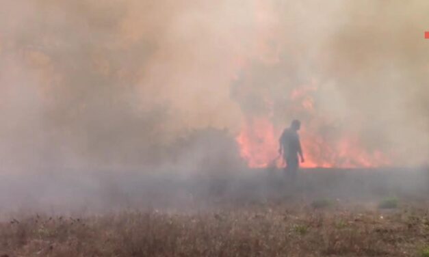 Registra Veracruz un incendio forestal activo en la región de Zacualpan