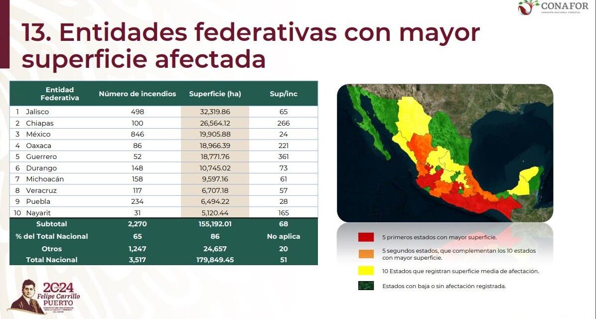 Veracruz registra 117 incendios forestales, se ubica en octavo lugar nacional