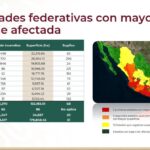 Veracruz registra 117 incendios forestales, se ubica en octavo lugar nacional