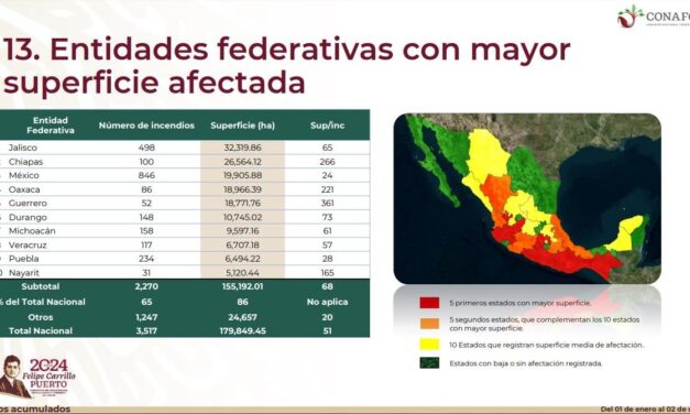 Veracruz registra 117 incendios forestales, se ubica en octavo lugar nacional