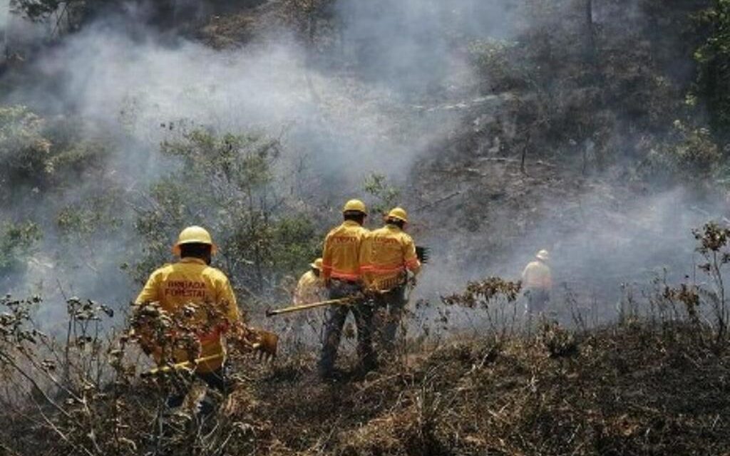 Incendio forestal activo en Tatatila reporta CONAFOR