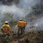 Incendio forestal activo en Tatatila reporta CONAFOR