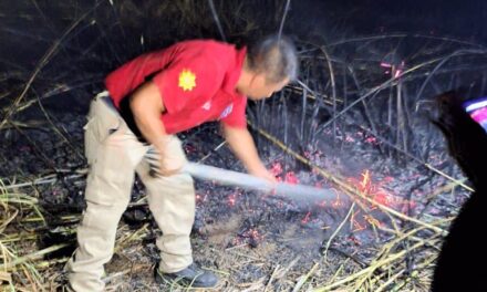Liquidado incendio en parque Natura de Xalapa