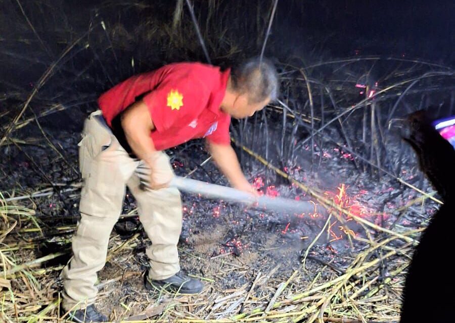 Liquidado incendio en parque Natura de Xalapa