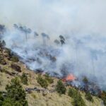 Activos 6 incendios forestales en territorio veracruzano