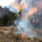 Activos 8 incendios forestales en territorio veracruzano: CONAFOR