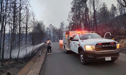 Fuerzas de tarea de los 3 órdenes de gobierno mantienen la atención permanente a incendios en el estado