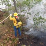 El Gobierno Estatal informa situación actual de incendios en territorio veracruzano