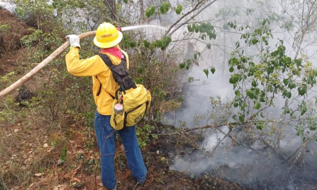 Suman 10 incendios activos en territorio veracruzano, Uxpanapa y Río Blanco los más complicados