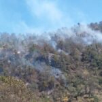 Al momento CONAFOR reporta 4 incendios forestales activos en territorio veracruzano