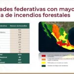 Se registran 4 mil 213 incendios forestales en el país, 125 en Veracruz