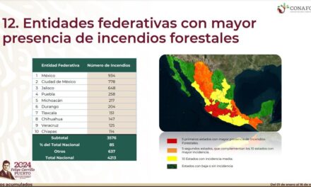 Se registran 4 mil 213 incendios forestales en el país, 125 en Veracruz