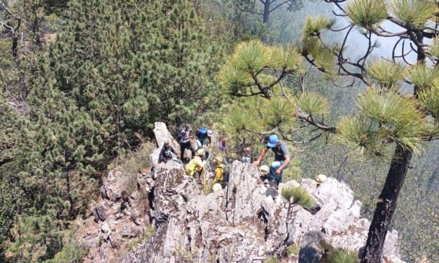 Brigadas de los 3 órdenes de gobierno y voluntarios atienden incendio forestal en Xico