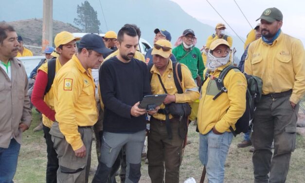 Resumen de atención a incendios en Veracruz