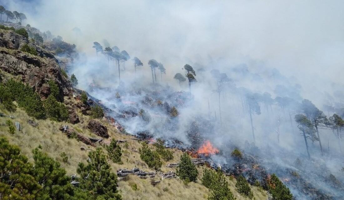 Reportan 11 incendios forestales activos en Veracruz