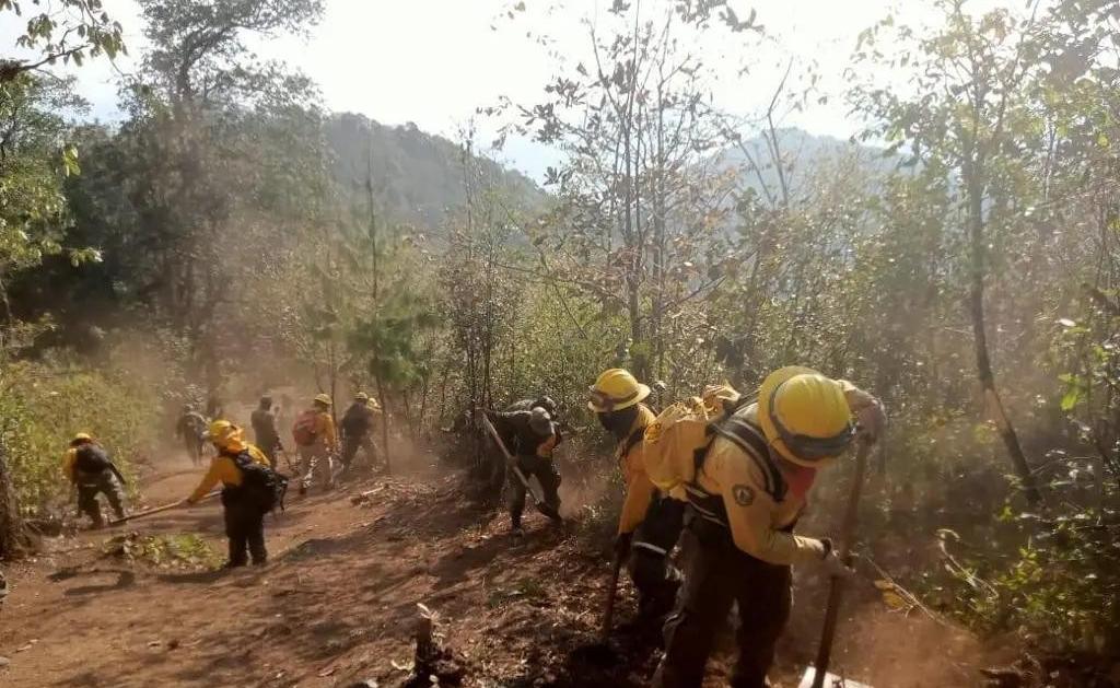 Conafor reporta 11 incendios forestales activos en territorio estatal