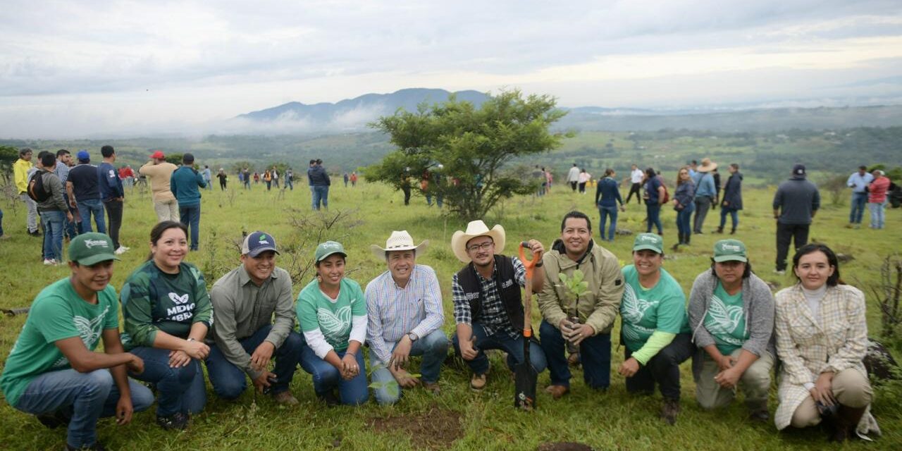Cuitláhuac García cierra sexenio con más de 11 millones de árboles sembrados