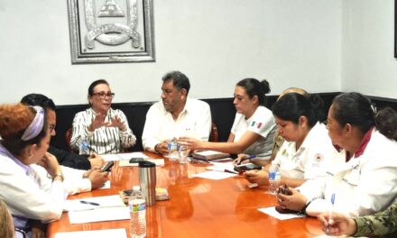 Todo mi apoyo para mis paisanos, ¡no están solos!, asegura Rocío Nahle