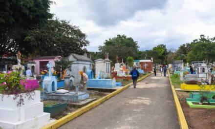 Recomiendan poner arena o tierra en floreros de panteones para evitar criaderos de mosco trasmisor de dengue