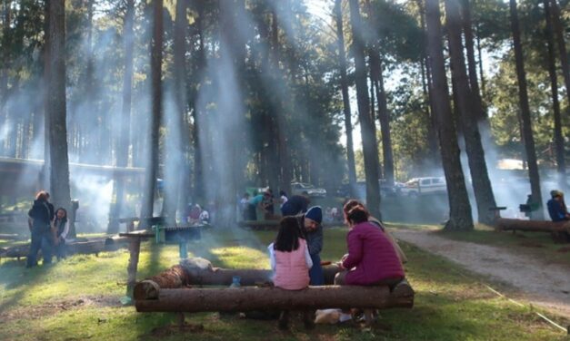 Prevén llegada de más de 20 mil visitantes al ‘Ciclo Verde’ en Perote