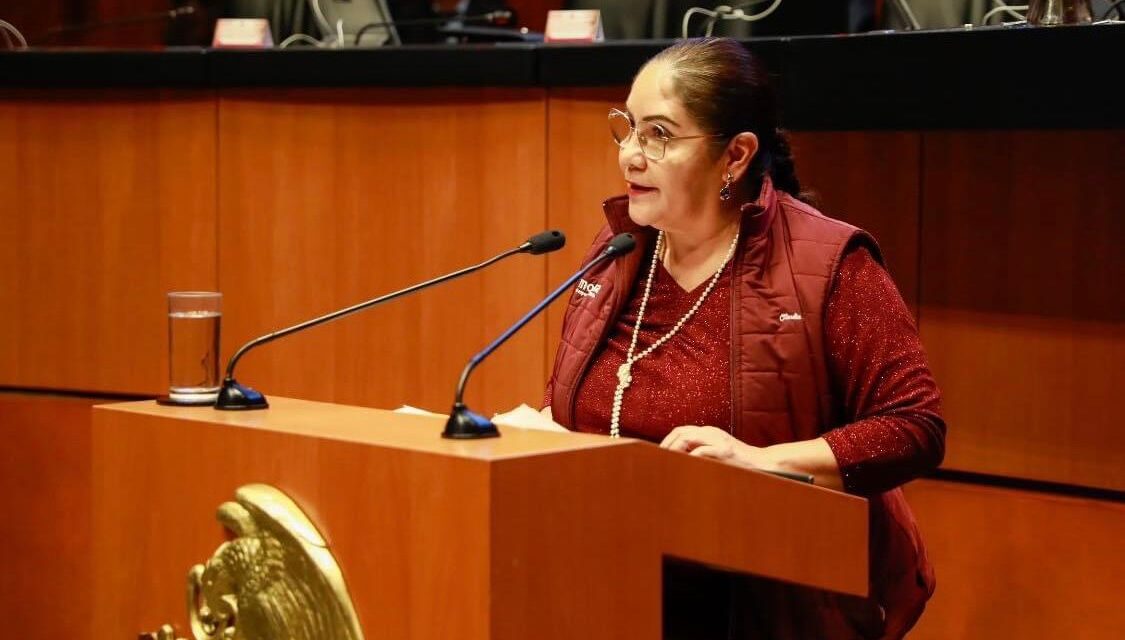 Presenta Senadora veracruzana iniciativa para preservar identidad de los menores en la sociedad