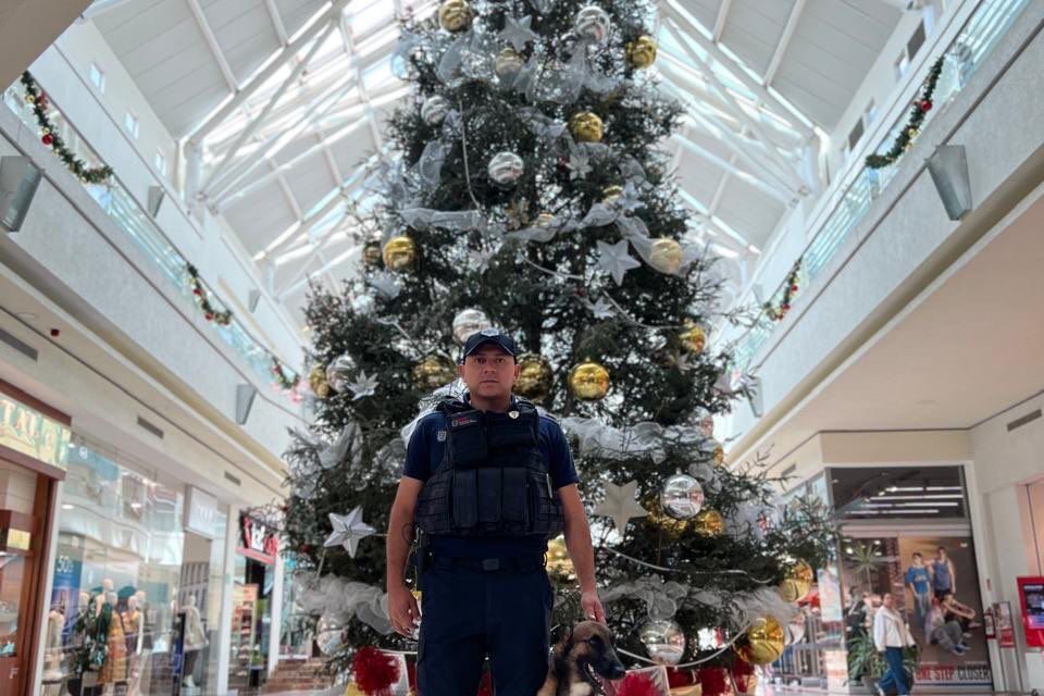 Operativo Diciembre, fiestas seguras en Veracruz