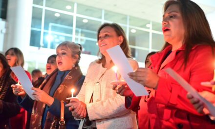 Rocío Nahle encabeza el encendido del árbol navideño del DIF
