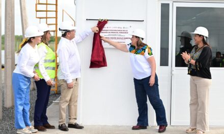 Supervisa gobernadora Rocío Nahle García planta solar de Pánuco