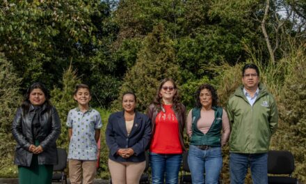 Eco Navidad buscará recolectar más de 12 mil árboles