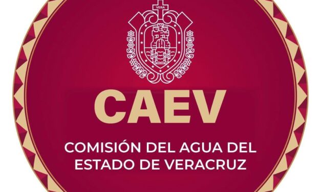 ¿Quieres participar en la toma de decisiones públicas? Postúlate al Consejo Consultivo de la CAEV