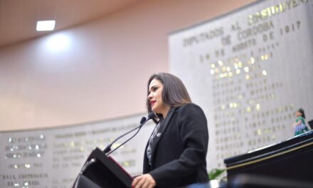 Pide diputada atender carreteras del estado