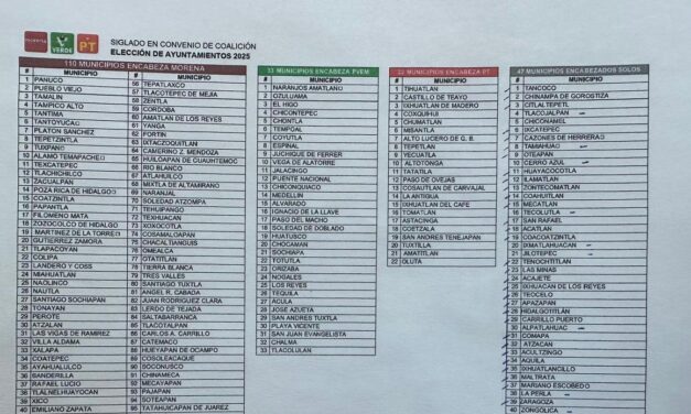 Número de municipios en coalición Morena-PT-Verde, aún no es definitivo en Veracruz