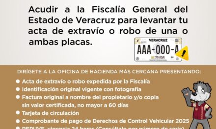 ¿Extraviaste o te robaron tus placas? Sefiplan te guía paso a paso
